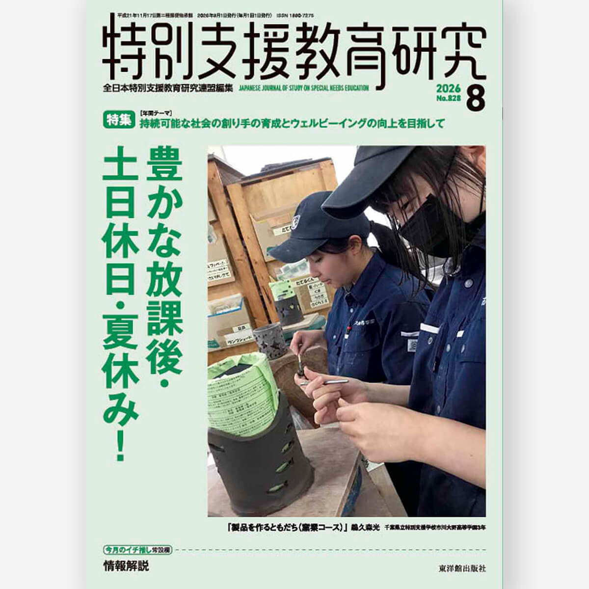 たくましい実践力が「深い学び」をつくる 成蹊小学校の教育 – 東洋館出版社