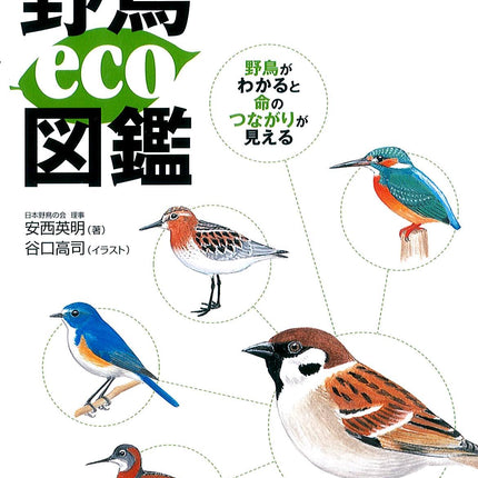 基本がわかる 野鳥eco図鑑 - 東洋館出版社